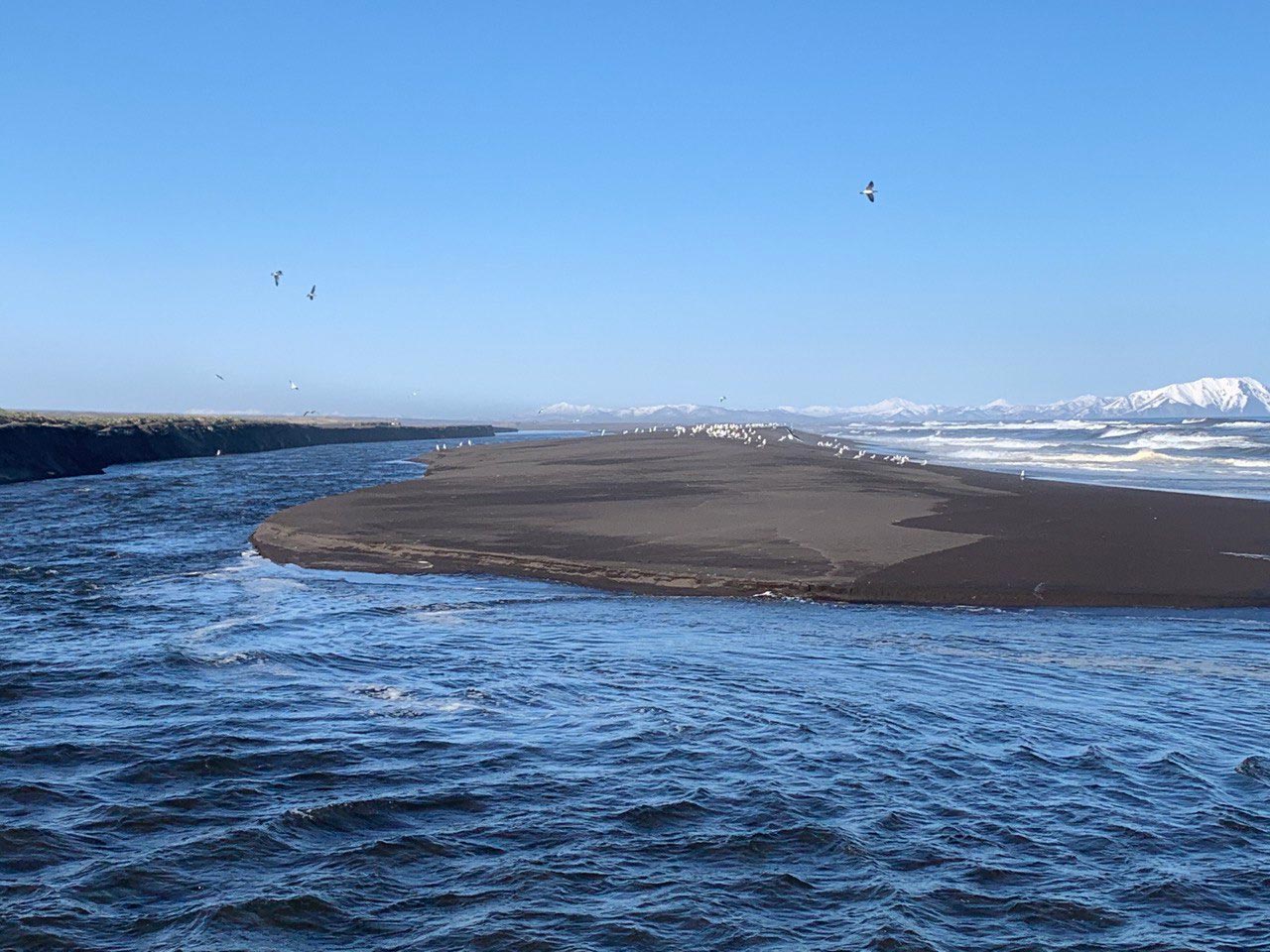 Экологическое бедствие на Халактырском пляже и геодинамические явления: есть ли связь?